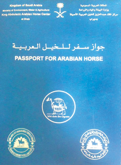 "جواز سفر الخيول".. دليل التعرف على هوية الحصان