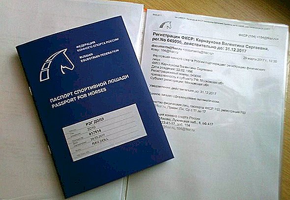 "جواز سفر الخيول".. دليل التعرف على هوية الحصان