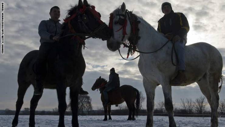 بالصور.. طقوس مبهرة لـ "تعميد الخيول" في رومانيا عمرها ألف سنة