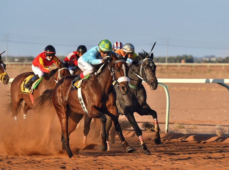بالأسماء والصور.. الخيول الفائزة بالمراكز الأولى في سباق منطقة حائل السعودية