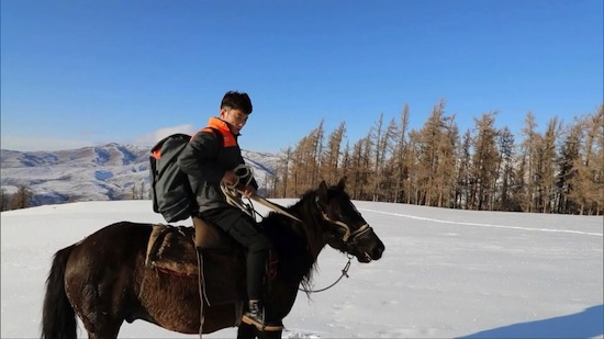 بالصور.. استخدام الخيول في التنقل بالمناطق الباردة