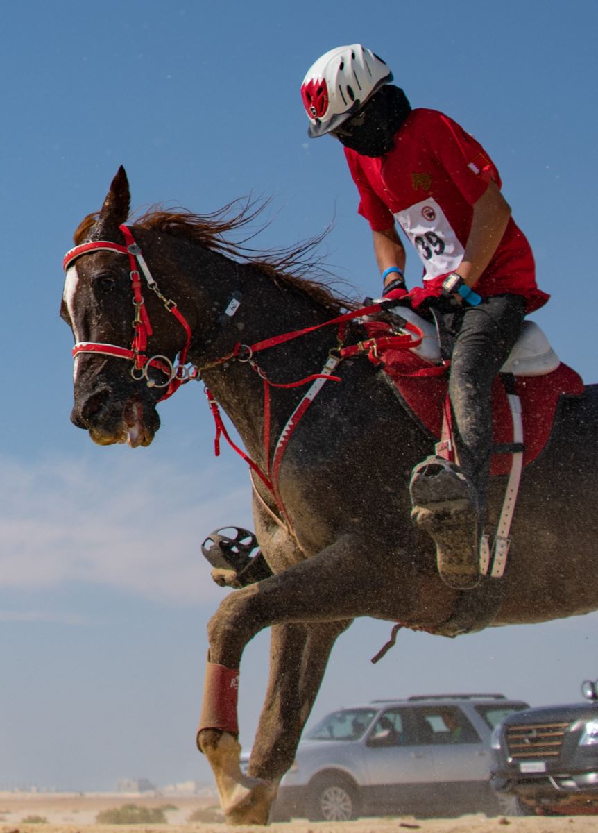 15 صورة تبرز جمال الخيول في سباقات البحرين