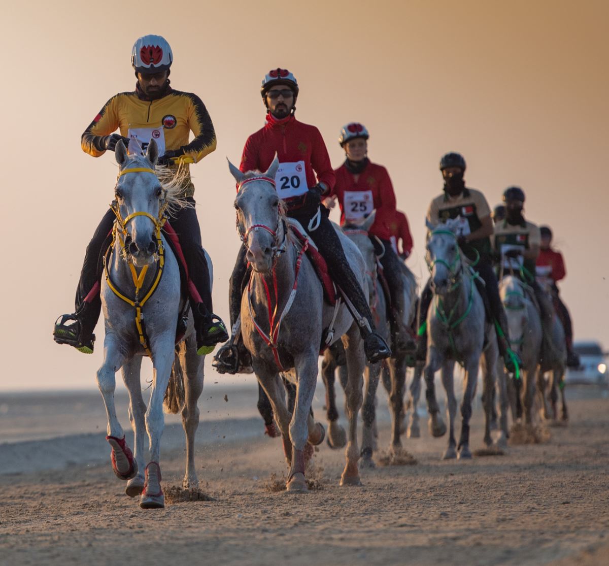 15 صورة تبرز جمال الخيول في سباقات البحرين