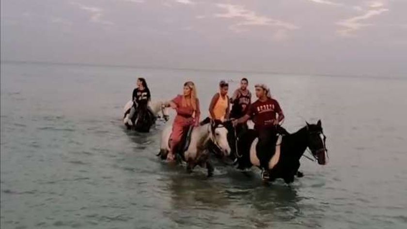 بالصور.. انتعاش سياحة ركوب الخيول في مياه الغردقة