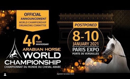 "الإيكاهو" تحدد 8 يناير لانطلاق كأس العالم للخيل العربي في باريس