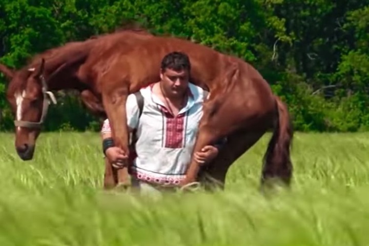 بالصور.. "دميترو" أقوى رجل في العالم يحمل "حصان" على كتفه