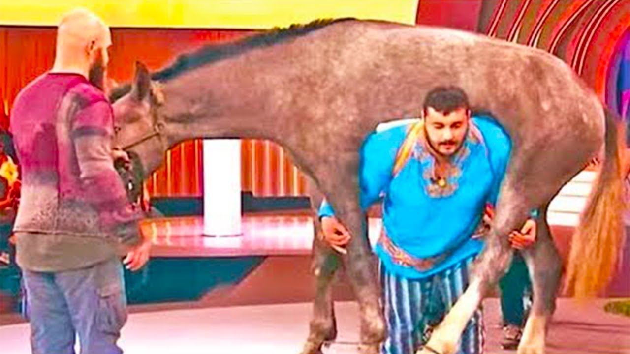 بالصور.. "دميترو" أقوى رجل في العالم يحمل "حصان" على كتفه
