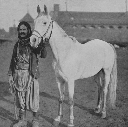 سر اهتمام السوشيال ميديا بصورة نادرة لـ رجل سوري بصحبة حصان عربي عام 1893