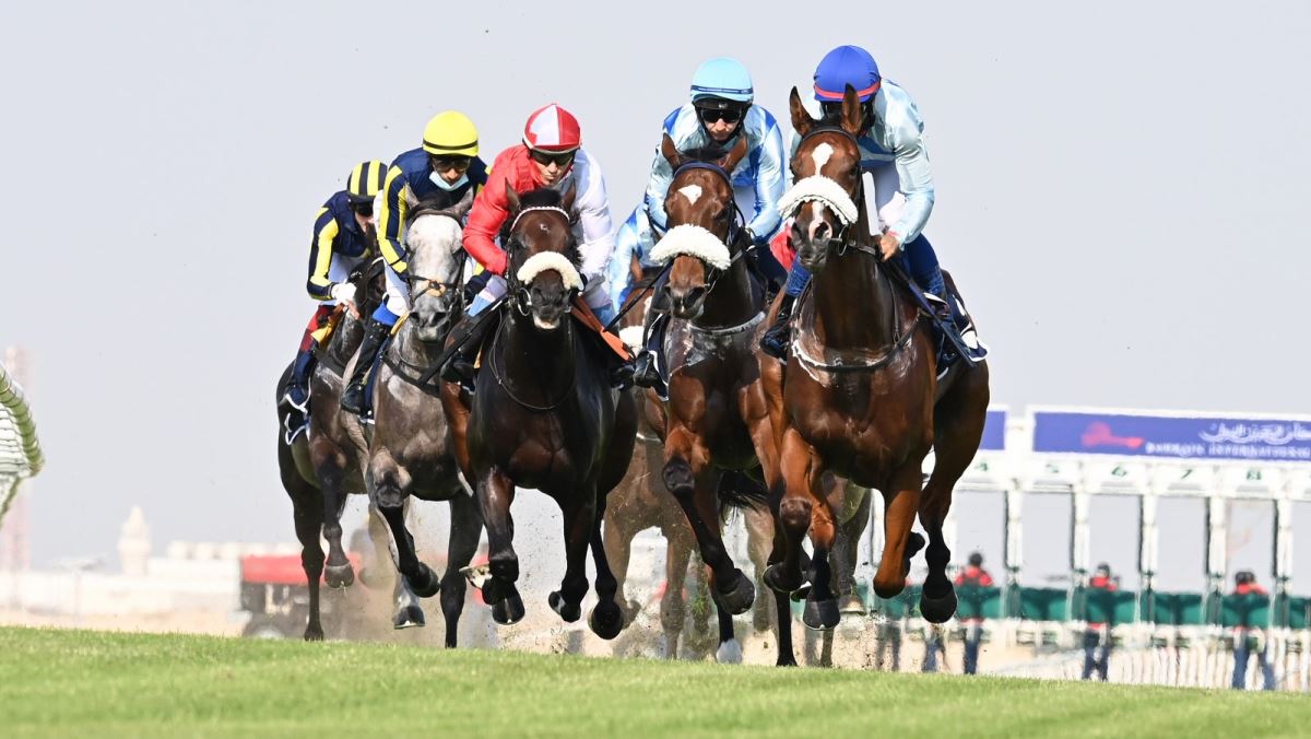 بالأسماء.. 28 حصانا فازوا بالمراكز الأولى في سباق كأس البحرين الدولي لـ الخيول