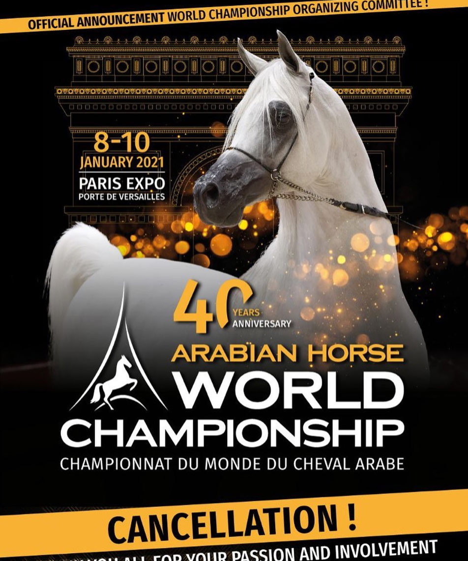 شاهد البيان الرسمي لإلغاء بطولة العالم لجمال الخيل العربية الأصيلة في باريس