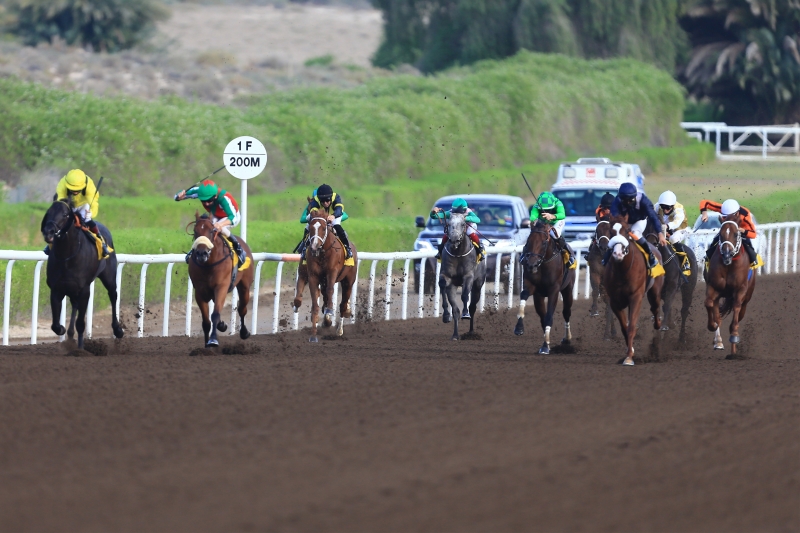 بالصور.. الحصان "المرعب" يحصد جائزة الشوط الثاني من سباق "ند الشبا" الإماراتي.. ومسالي يقتنص الشوط الأول
