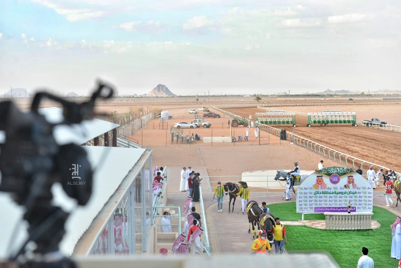 الحصان "صديد" يتوج بكأس ميدان الفروسية في حائل السعودية