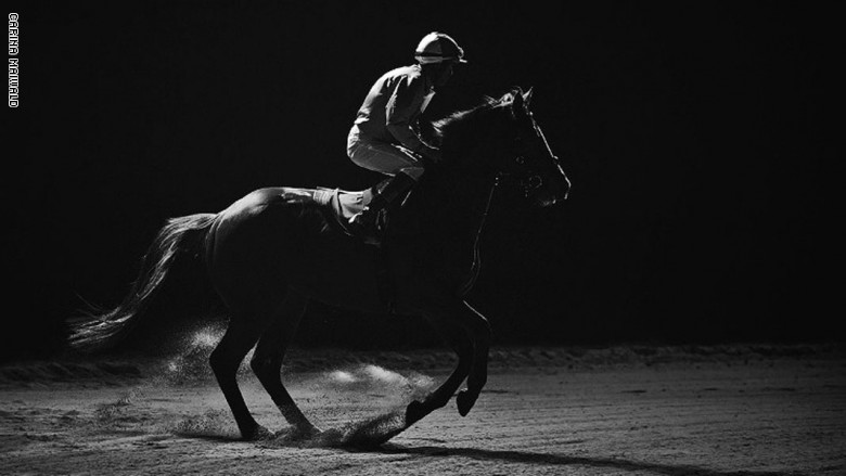 5 صور تبرز قوة وجمال الخيول بالإضاءة الطبيعية بعدسة كارينا مايوالد