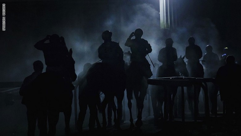 5 صور تبرز قوة وجمال الخيول بالإضاءة الطبيعية بعدسة كارينا مايوالد