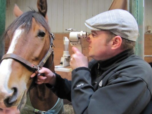 نجاح غير مسبوق لعلاج سرطان عيون الخيول باستخدام عقار بشري