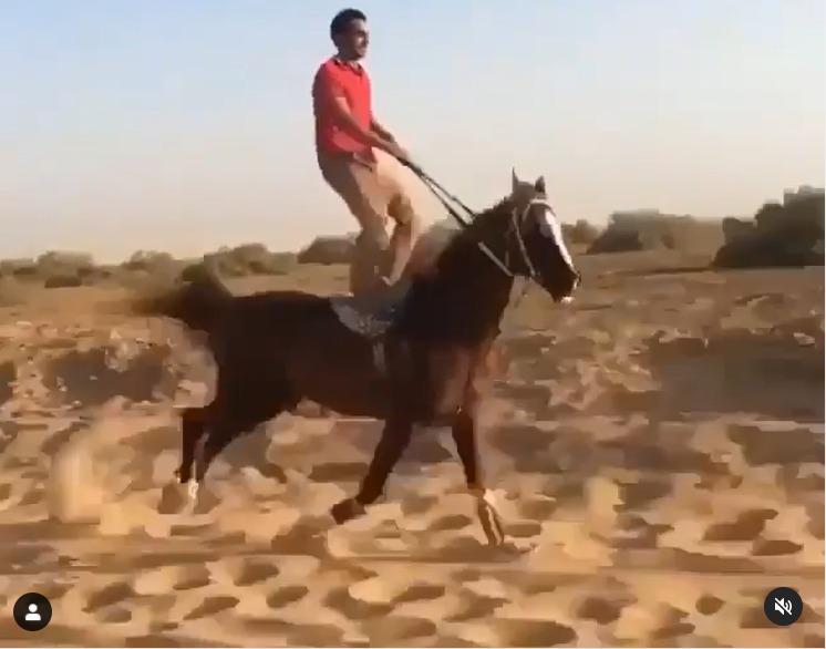 شاهد.. فارس يثير الإعجاب على إنستجرام بتوازن مبهر على حصانه