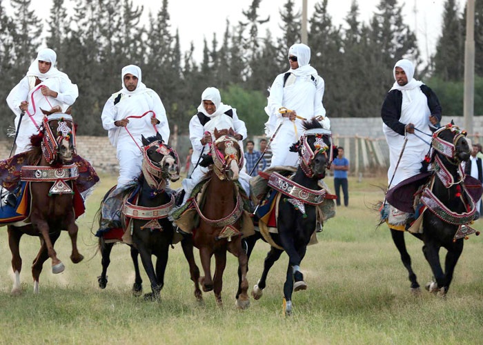 بالصور.. انطلاق مهرجان الفروسية والشعر الشعبي الليبي بالزهراء