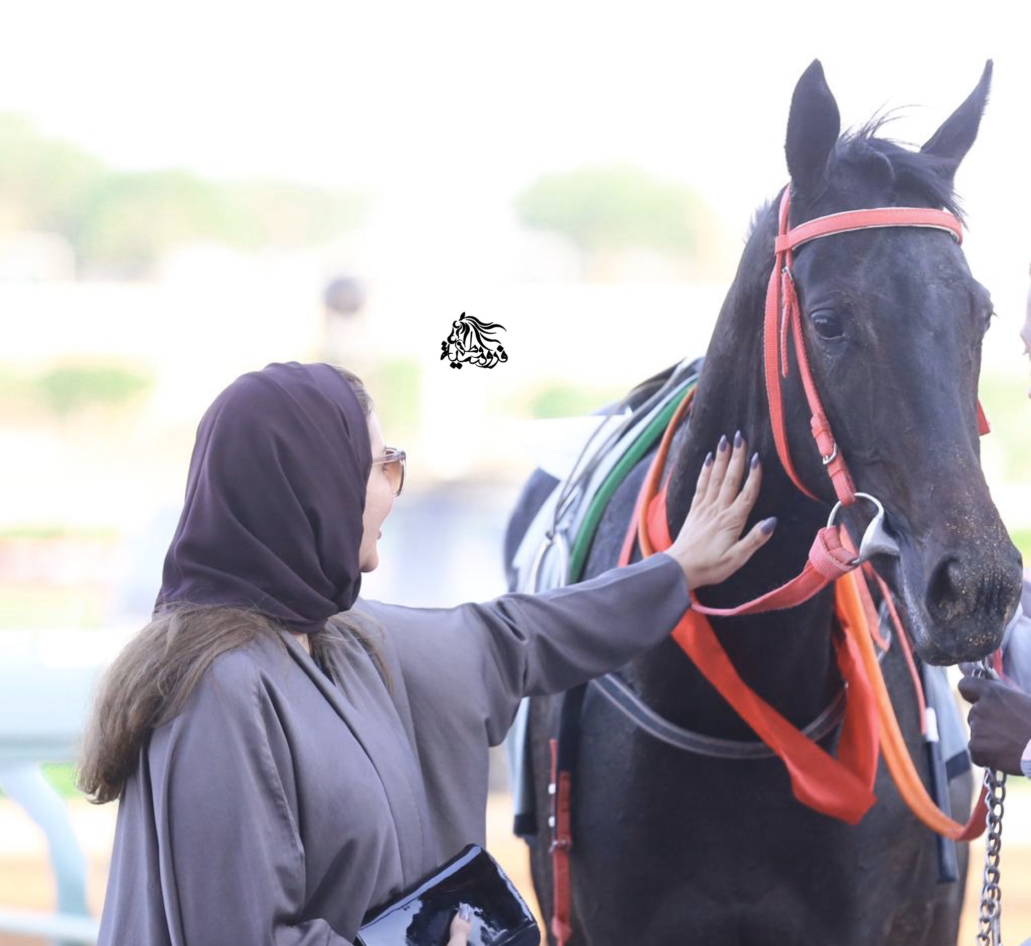 بالفيديو.. القصة الكاملة لمالكة الخيول "ماريا" ومهرتها "ضوابط" في مهرجان الجنادرية