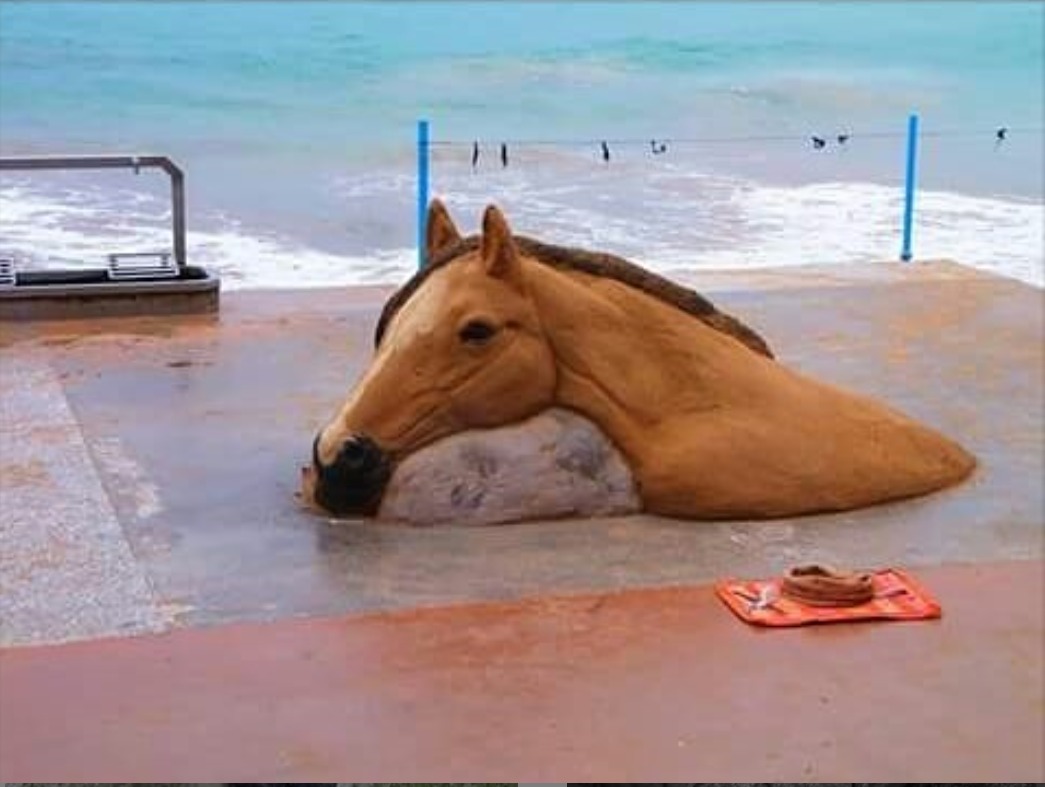 بالفيديو والصور.. نحات إسباني يصنع مجسّمات للخيول من حبات الرمال