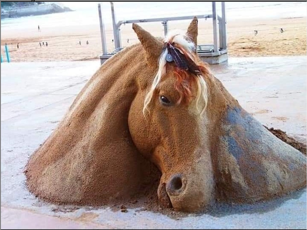 بالفيديو والصور.. نحات إسباني يصنع مجسّمات للخيول من حبات الرمال