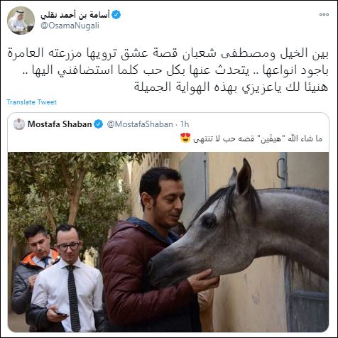 سفير السعودية بعد زيارته لمزرعة خيول مصطفى شعبان: قصة عشق بين الحصان والفنان