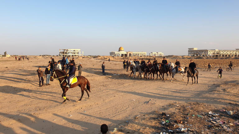 بالصور.. مطار غزة الدولي يتحول لساحة سباقات خيول