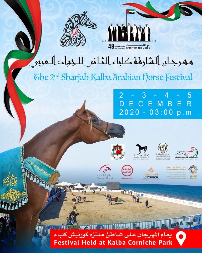 الاربعاء.. انطلاق مهرجان "الشارقة كلباء الثاني للجواد العربي" على شاطئ المنتزه