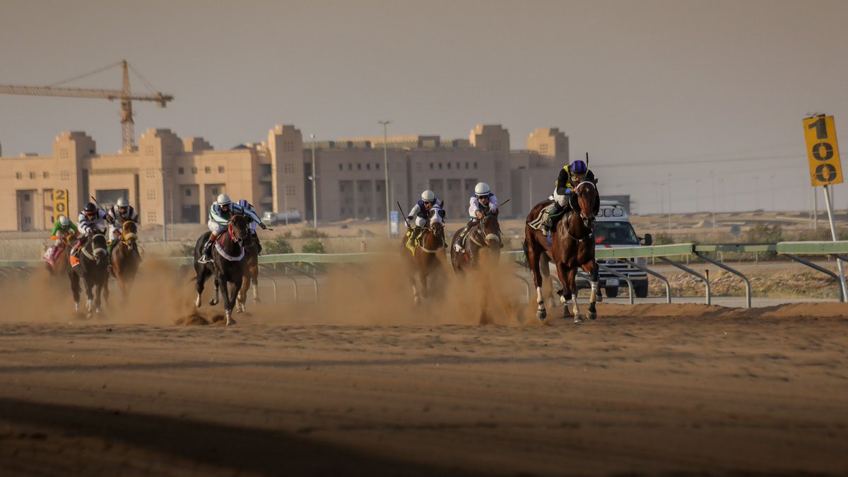 أسماء 7 خيول فازت بالمراكز الأولى في مهرجان ميدان الملك سعود للفروسية