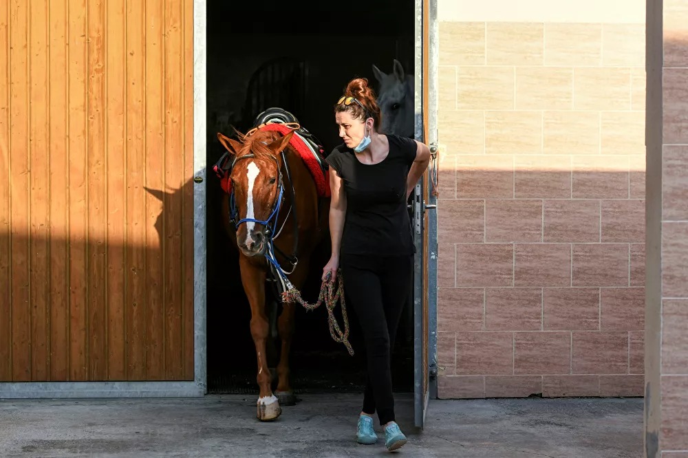 بالصور.. Ride to Rescue مشروع إماراتي لحماية الخيول من سوء المعاملة