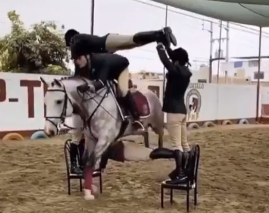 شاهد.. فيديو مبهر لفارس يقفز بحصانه فوق أجساد رفاقه