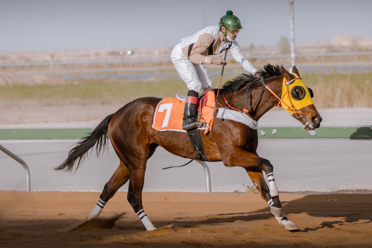 بالصور.. 7 خيول تفوز بأشواط الحفل التاسع لسباق الفروسية بالقصيم السعودية