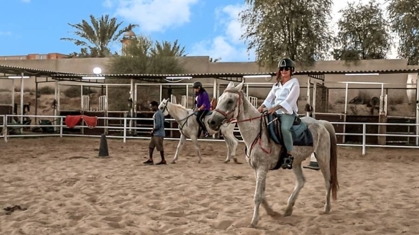 بالصور.. مدربة إماراتية تستعين بالخيول في تصميم برنامج تدريبي على مهارات القيادة