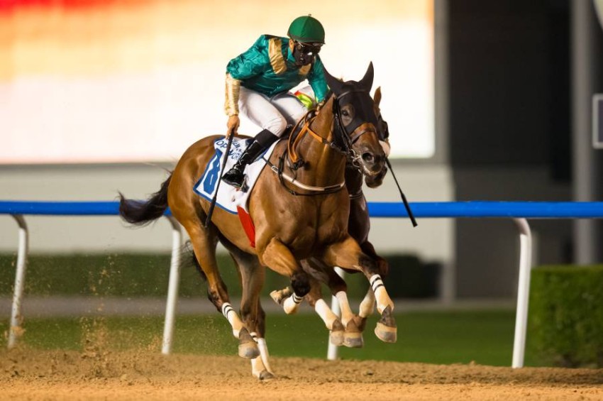 المدرب ابن غدير يحقق ثنائية في سباق الخيول الثالث لمضمار ميدان الإماراتي