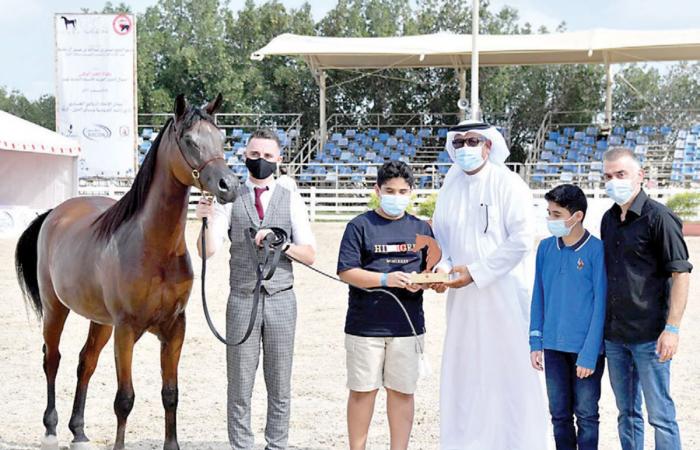 بالأسماء.. أجمل 25 حصان في بطولة العيد الوطني لجمال الخيل العربية بالبحرين