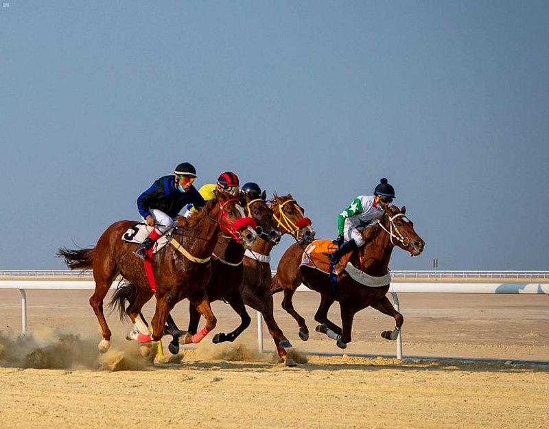 الحصان سعد الخوي يفوز بكأس نادي سباقات الخيل على ميدان فروسية الجبيل