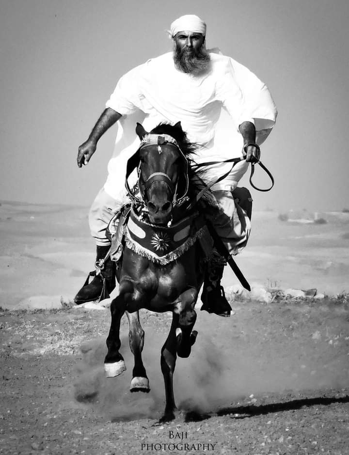صورة فارس جزائري تشعل السوشيال ميديا.. والمصور ينهي الجدل بطريقة مبتكرة