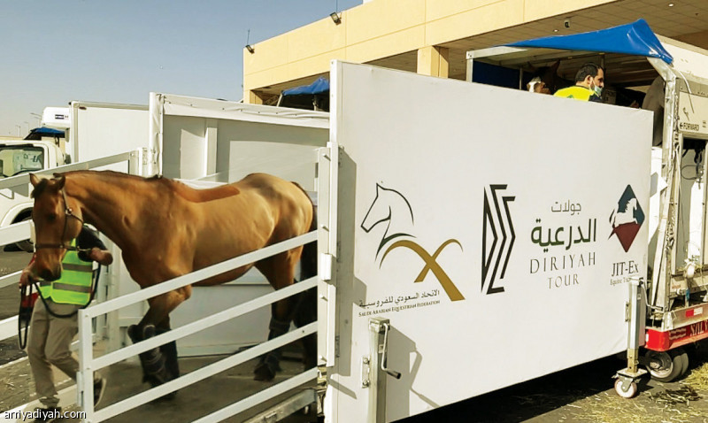 شاهد صور وصول الخيول المشاركة في بطولة الدرعية بالسعودية