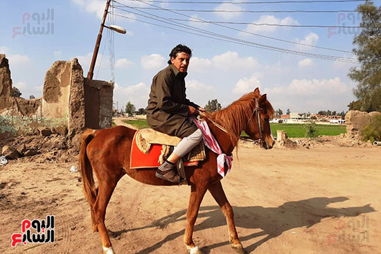 تحقيق مصور يروي تاريخ قرية بالشرقية في تربية الخيول العربية الأصيلة