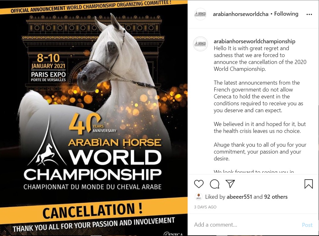 "الكنوز المصرية" تنشر السبب الحقيقي لإلغاء بطولة باريس لجمال الخيول العربية