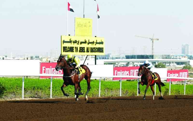 بالصور.. الحصان مهيب يرافق 5 خيول على منصات تتويج سباق جميرا بمضمار جبل علي الإماراتي