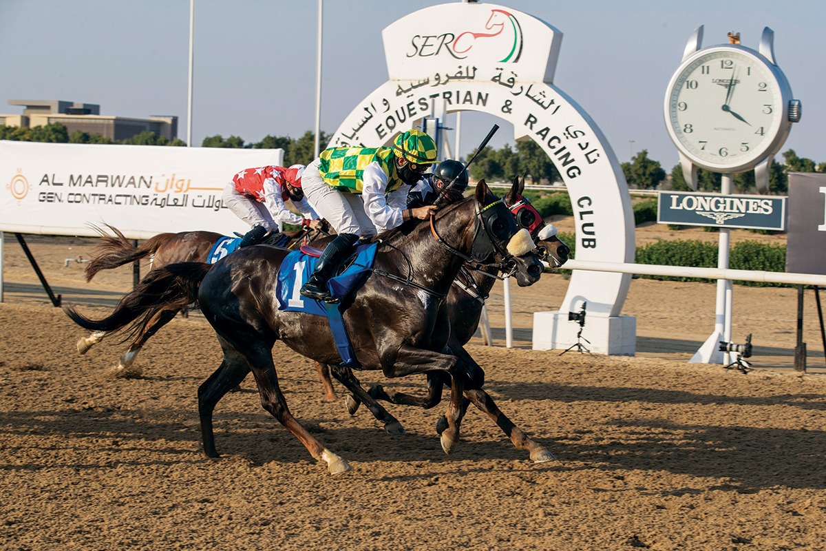 بالصور.. 5 خيول ترافق الحصان "جوال" على منصات تتويج سباق كأس رئيس الإمارات