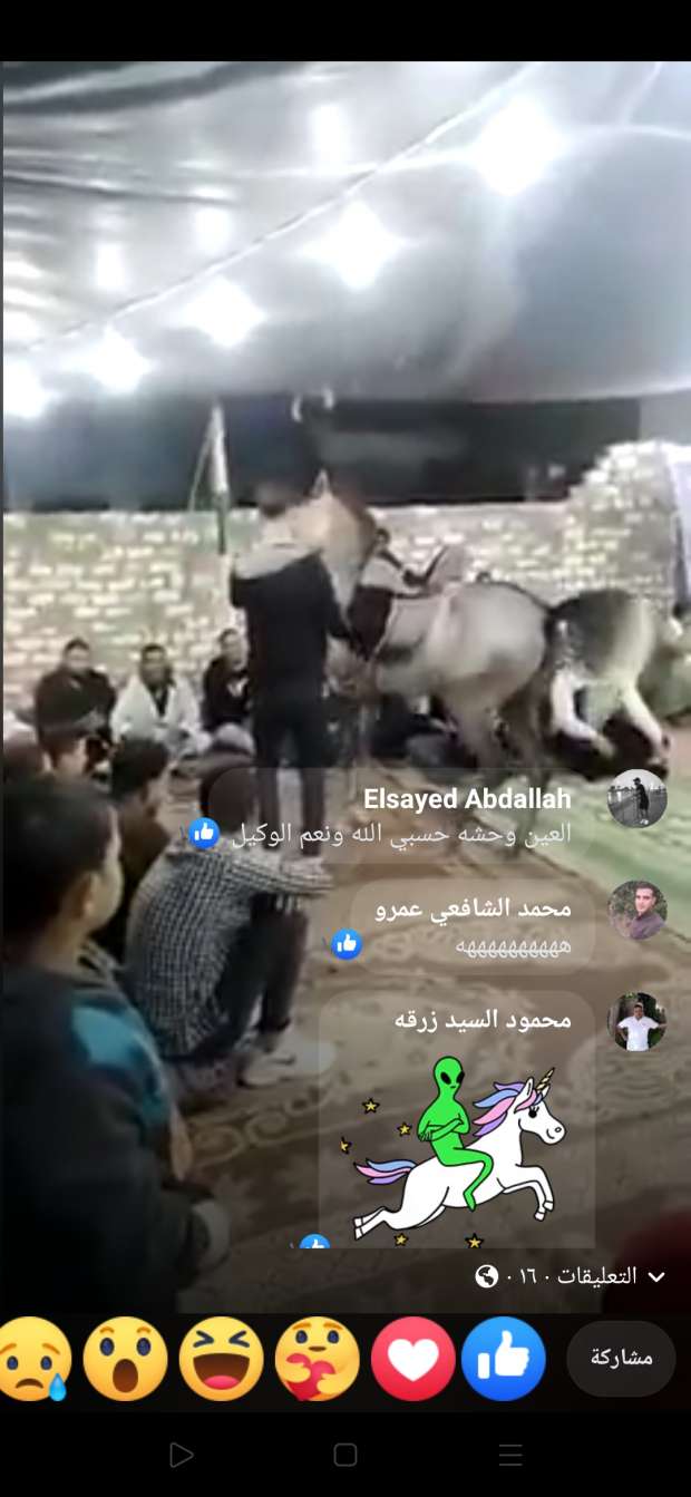 بالفيديو.. حصان يثير الذعر في فرح بالشرقية على طريقة فيلم كريم عبد العزيز