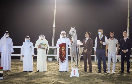 بالصور.. مربط دبي يسرق الأضواء بمهرجان الشارقة كلباء