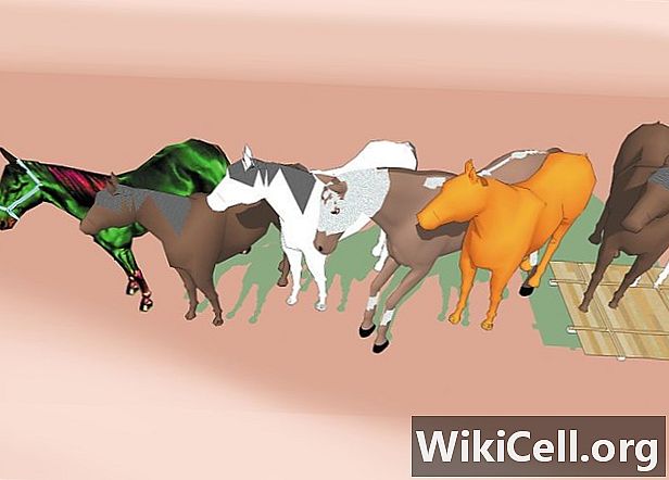بالرسوم.. موقع wikicell يحدد 3 طرق آمنة لنقل الخيول على العربات والمقطورات