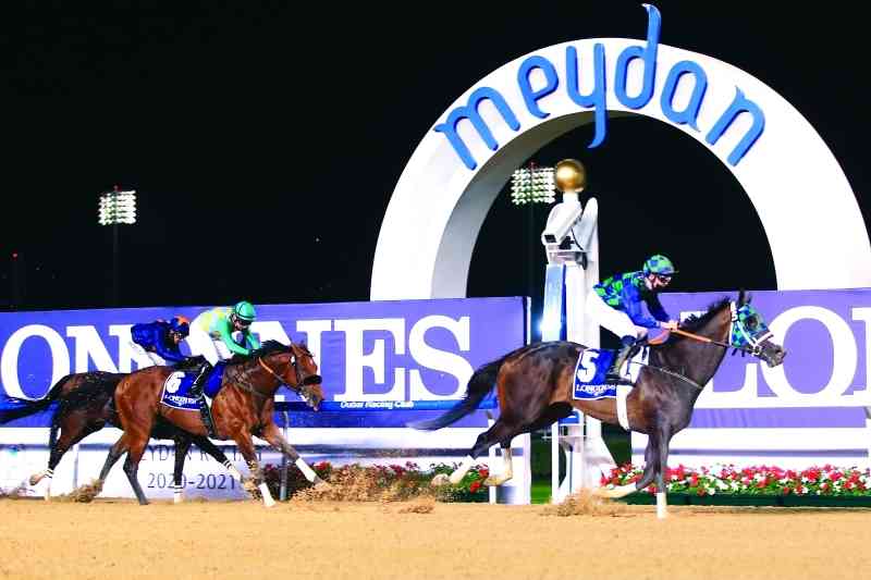"ذا جريت كولكشن" بطل الرئيسي.. 7 خيول فازوا بأشواط مضمار ميدان الإماراتي