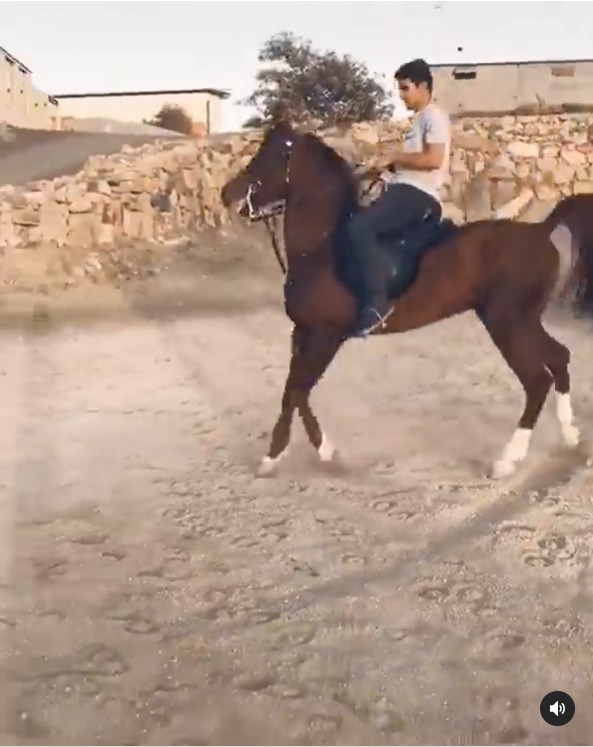 فيديو لشاب يرقص فوق حصانه على أنغام الموسيقى يشعل إنستجرام