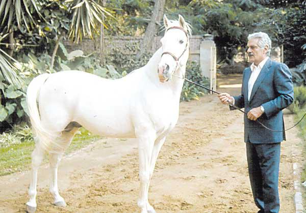 شاهد فيديو نادر للفنان عمر الشريف بعد خسارة حصانه في سباق خيول سنة 1970