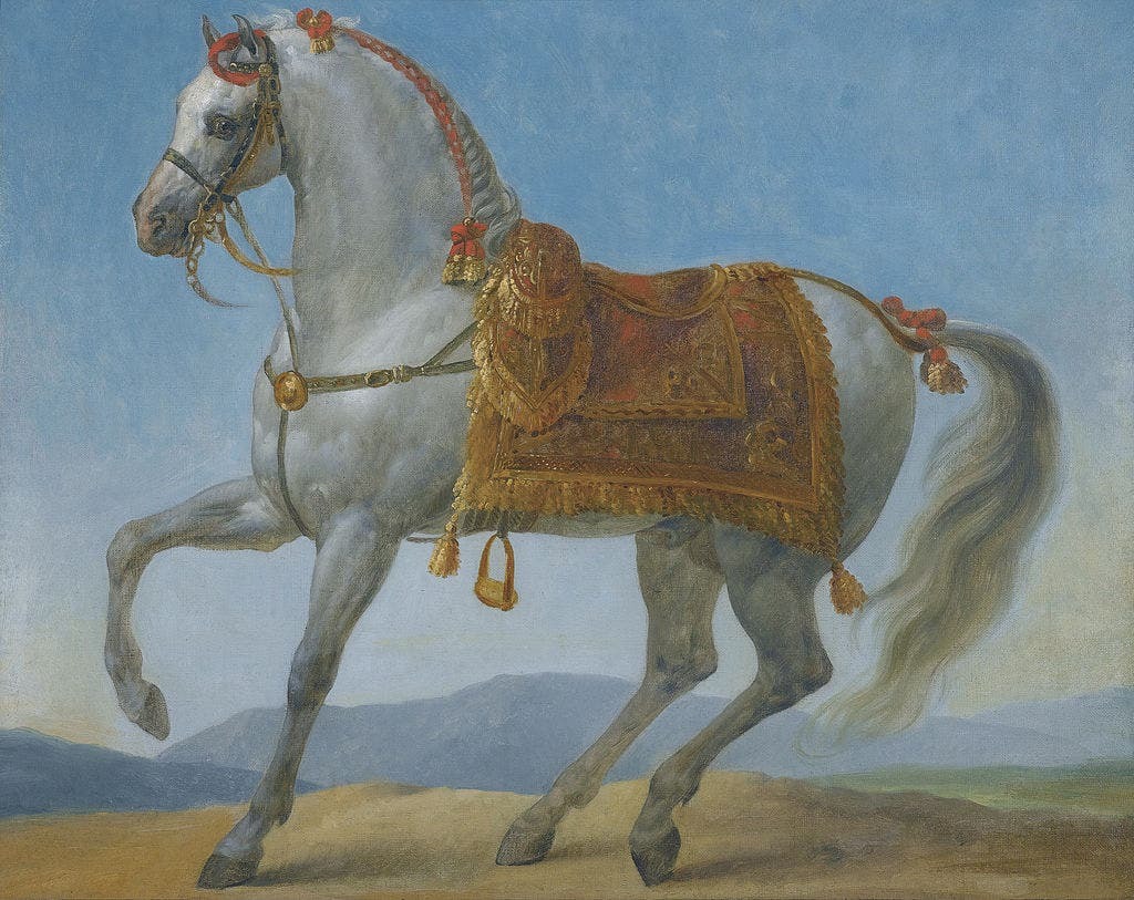 بالصور.. كيف عاش الحصان مارينجو لحظات الانتصار والانكسار مع نابليون بونابرت؟