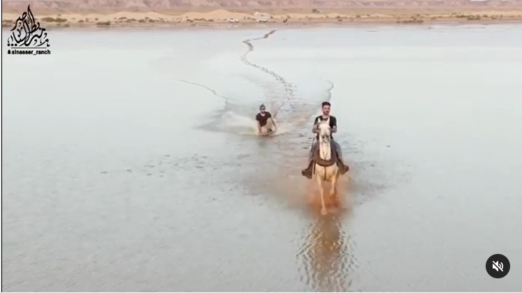 شاهد.. فرسان مربط ناصر السعودي يتزحلقون بالخيول على مياه الأمطار