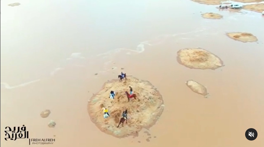 فيديو مثير لفرسان مربط ناصر السعودي "كأنهم يطيرون فوق المياه بالخيول"